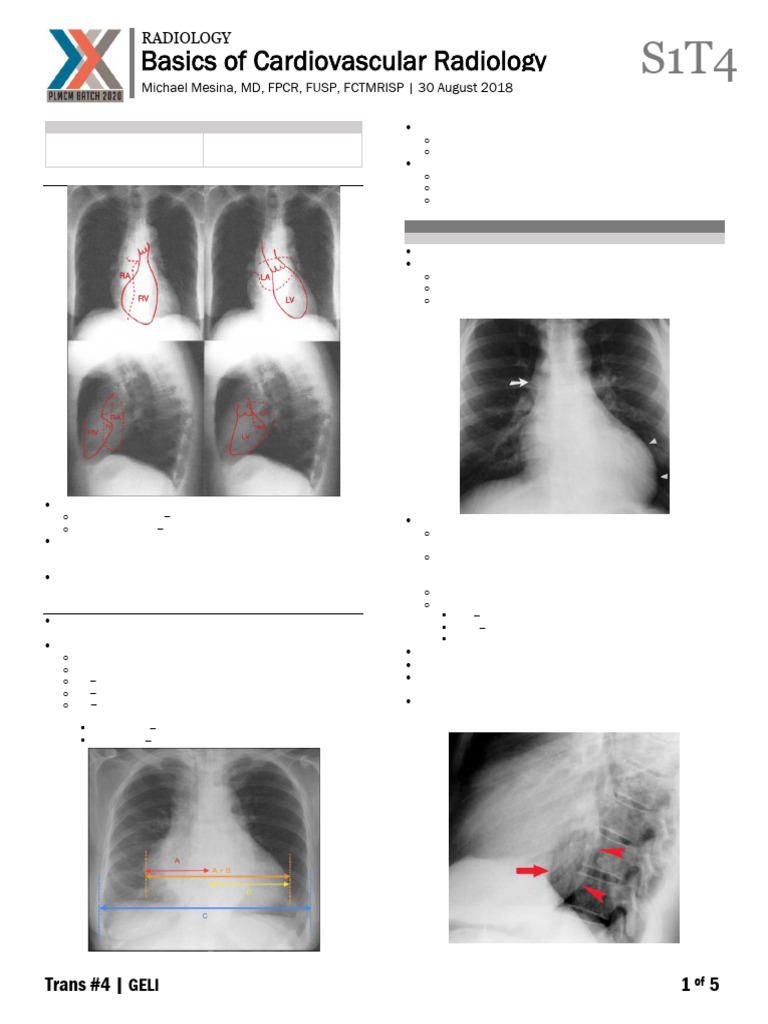 1.4 Basics of Cardiovascular Radiography | PDF | Heart | Atrium (Heart)