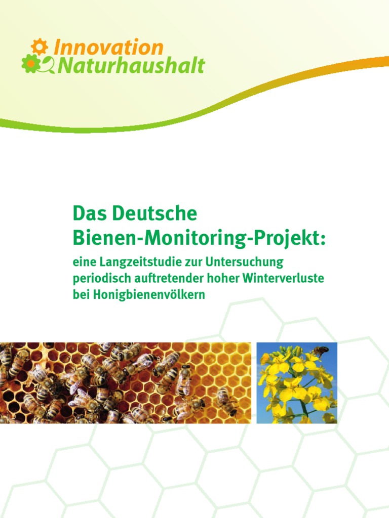 Bumblebee �Bersetzung