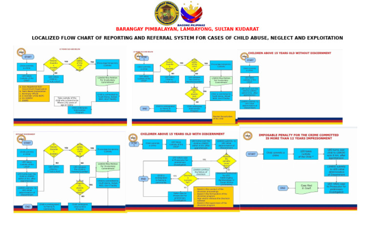 BCPC Flowchart | PDF