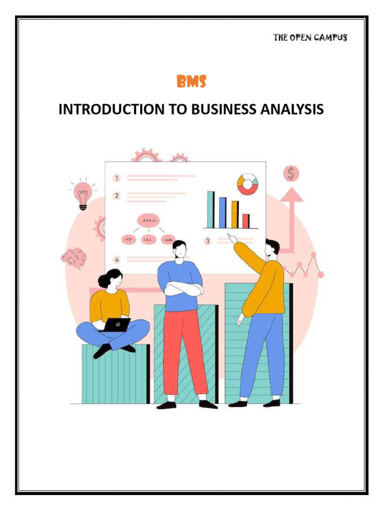 Introduction to Businesss Analysis (2922062301) | PDF | Business ...