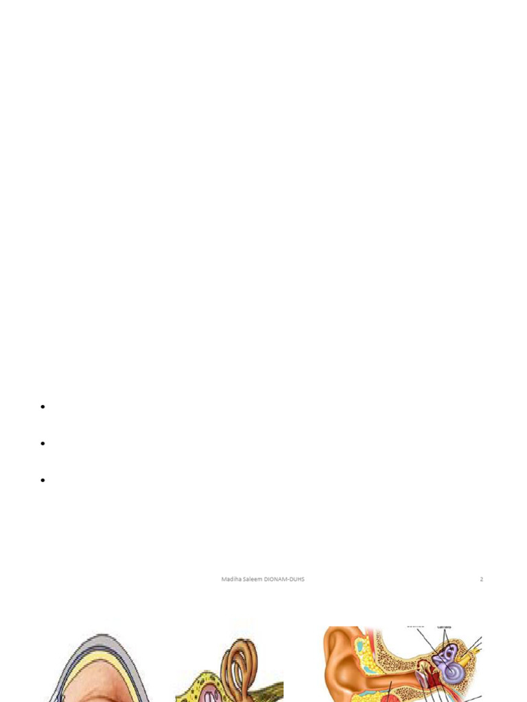 Special Senses Ear & Eye | PDF | Ear | Eye