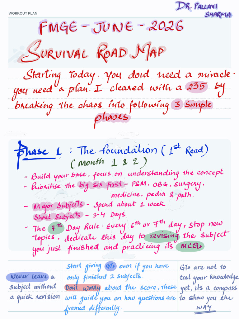 Strategy Plan FMGE 260216 200827 | PDF