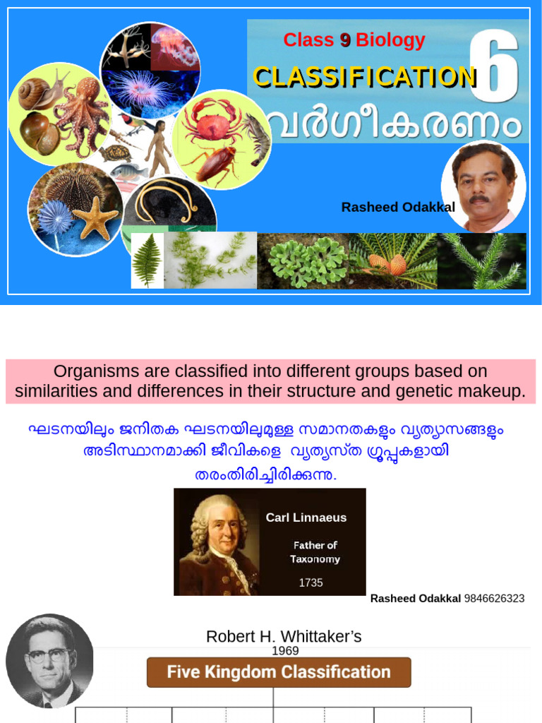 Class 9 Unit 6 - SLIDES (Part 1 of 2) - Rasheed Odakkal | PDF