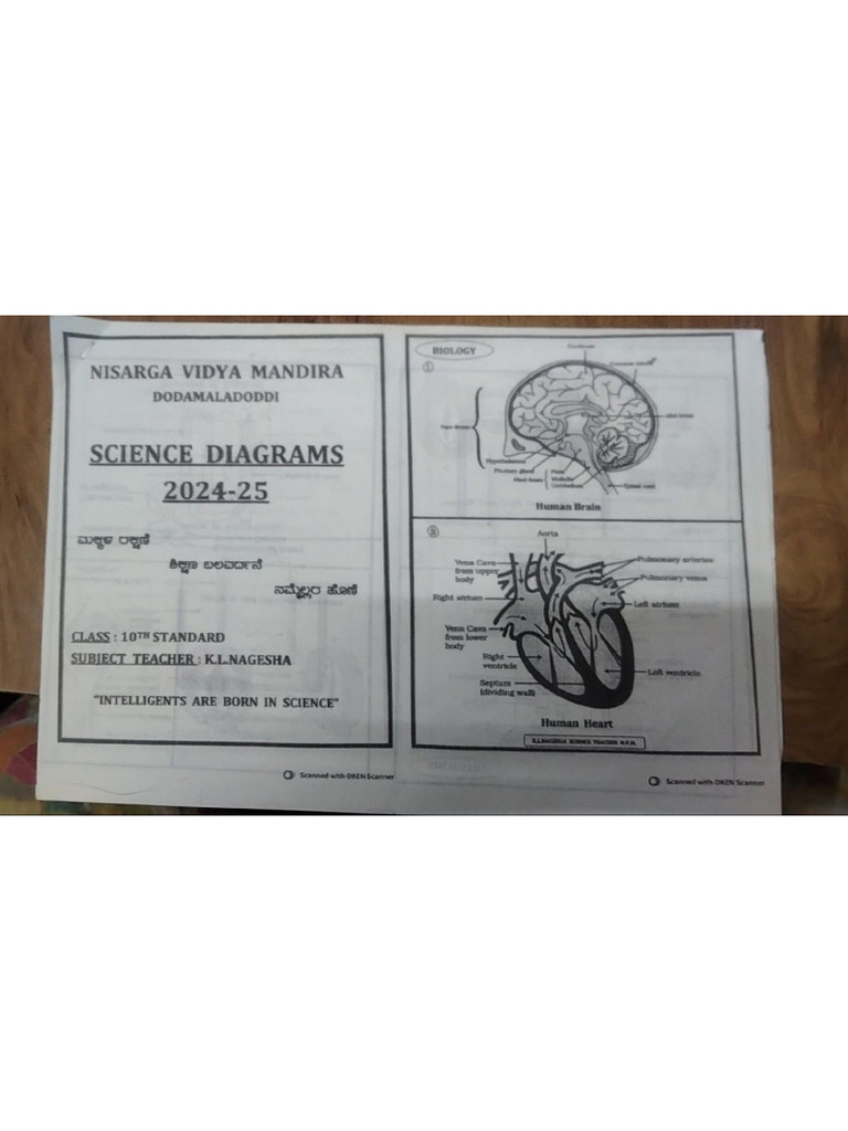 Science Diagram | PDF
