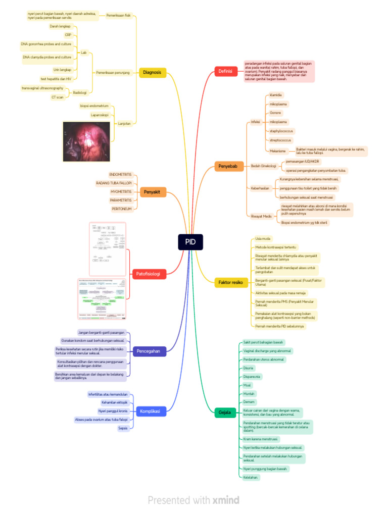 Mind Map 14-1 - 202601121258 - 09079 | PDF