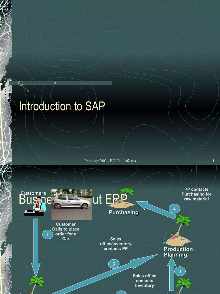 Sap Map | PDF