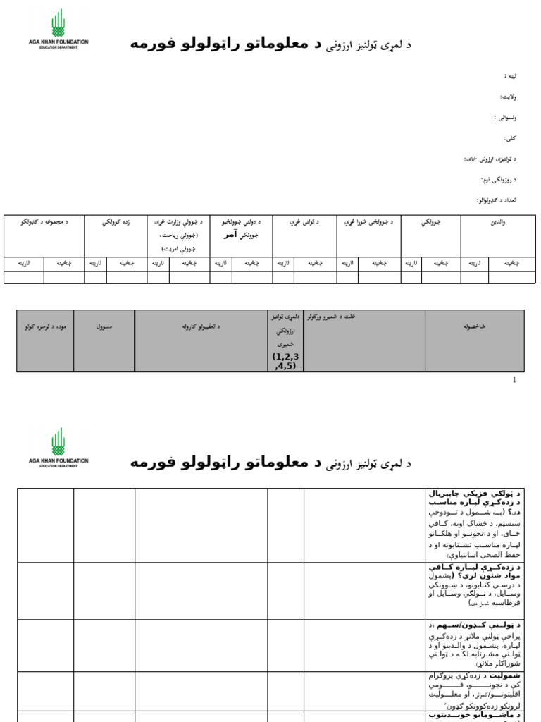 Social Audit Form One - Up 1 | PDF