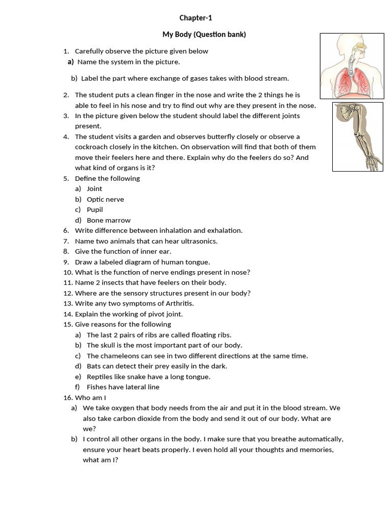 My Body 2 | PDF