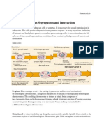 Genes Segregation and Interaction: Meiosis I