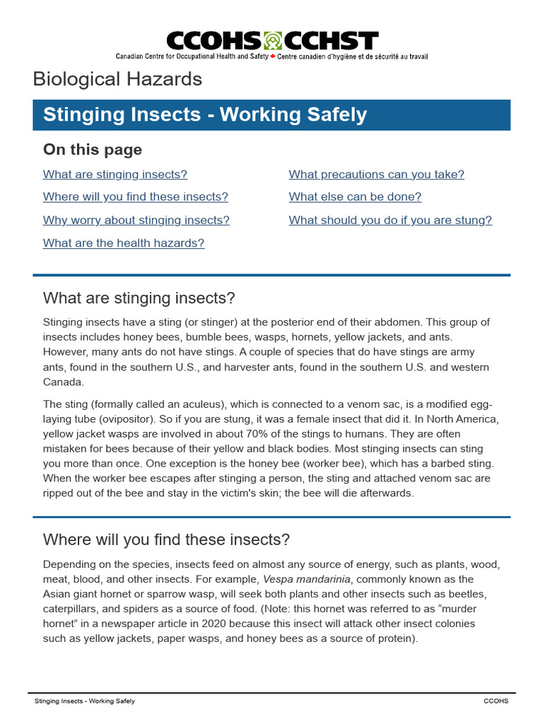bees_wasps | PDF | Allergy | Wasp