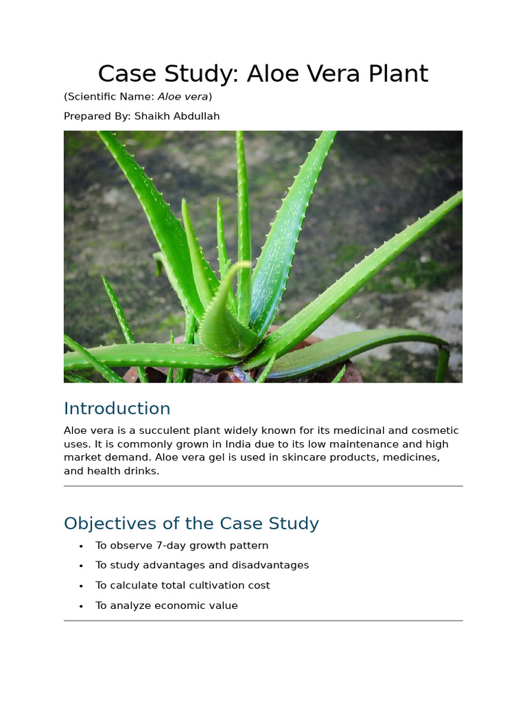 ? Case Study | PDF | Plants | Leaf
