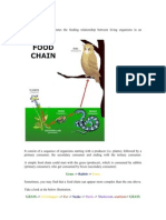 F2 Chap 4 Food Chain