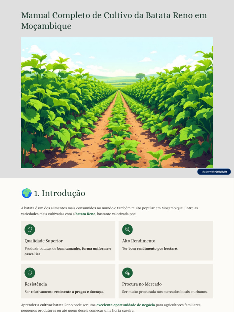 Manual Completo de Cultivo Da Batata Reno em Mocambique | PDF | Batata ...