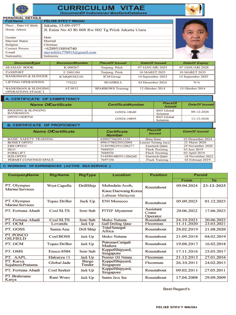 Cv Update Felixe Stevy1 | PDF | Safety