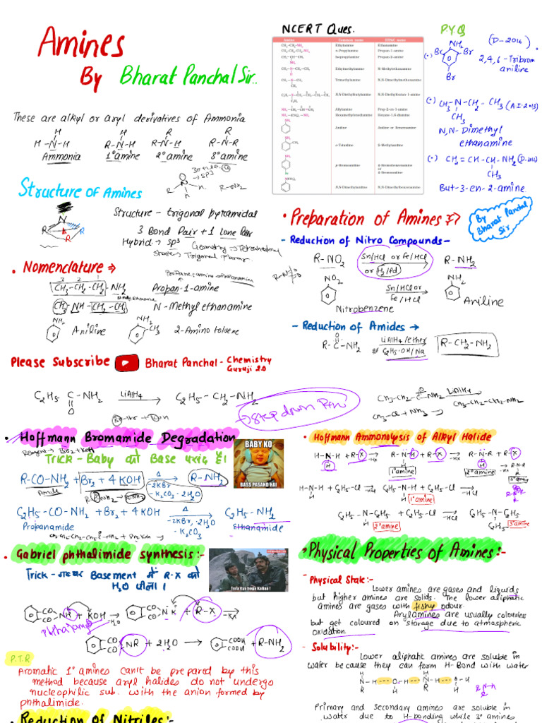 Amines | PDF | Amine | Functional Group