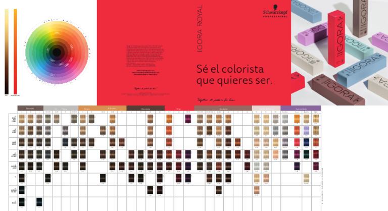 Carta de Colores Digital Igora Royal Sep25 | PDF