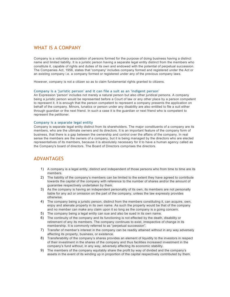 Understanding Company Structure and Benefits | PDF