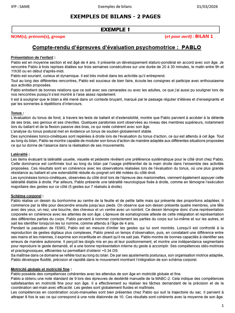Exemples de Bilans 2 Pages | PDF | Dessin | Main