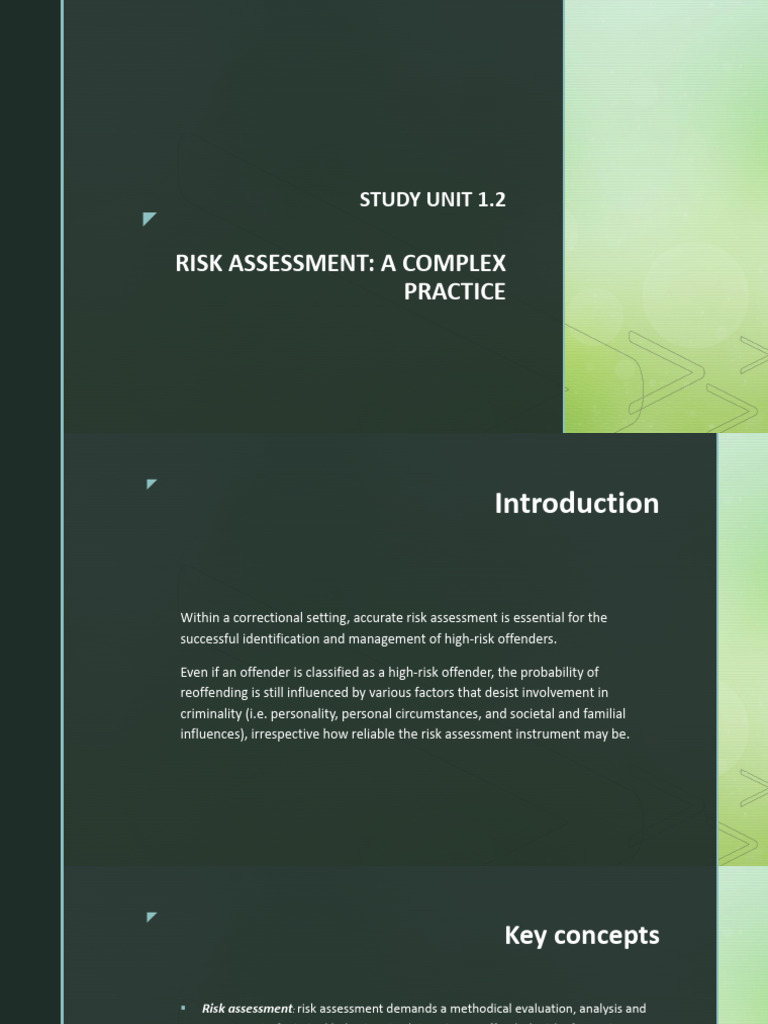 LESSON 2 - Risk Assessment | PDF | Risk Assessment | Crimes
