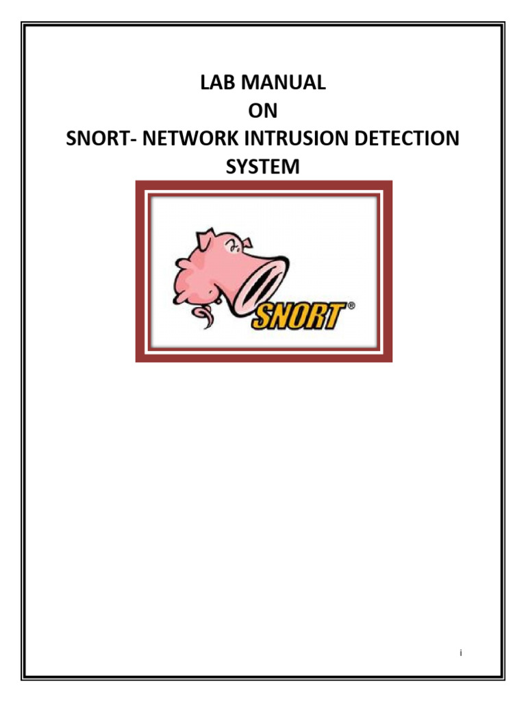 SNORT - Network Intrusion Detection System | PDF | Computer File | Malware