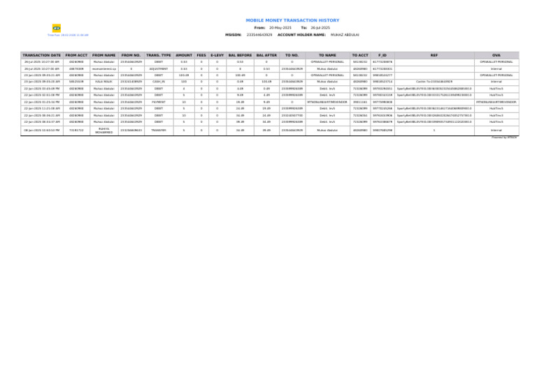 Momo Statement Report | PDF | Debit Card | Services (Economics)
