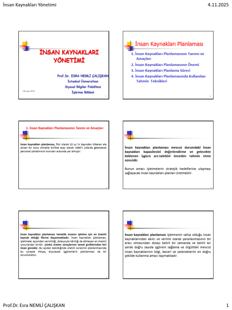 İnsan Kaynaklari Yönetimi | PDF