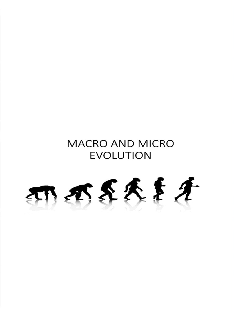 micro and macro | PDF