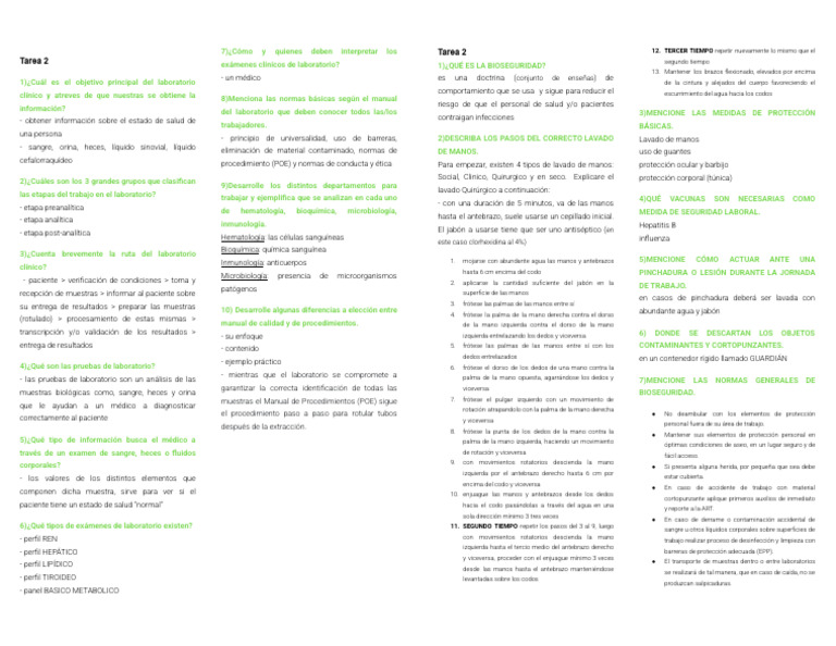 Tarea 2 y 3 | PDF | Laboratorios | Mano