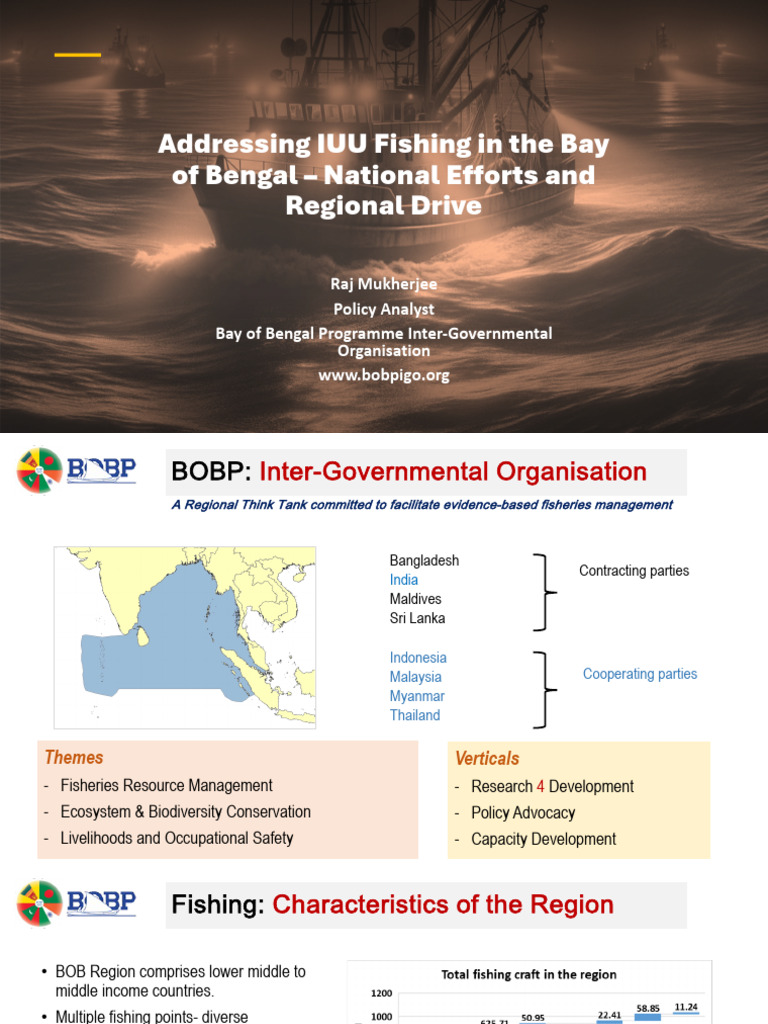 Addressing IUU Fishing | PDF | Natural Environment