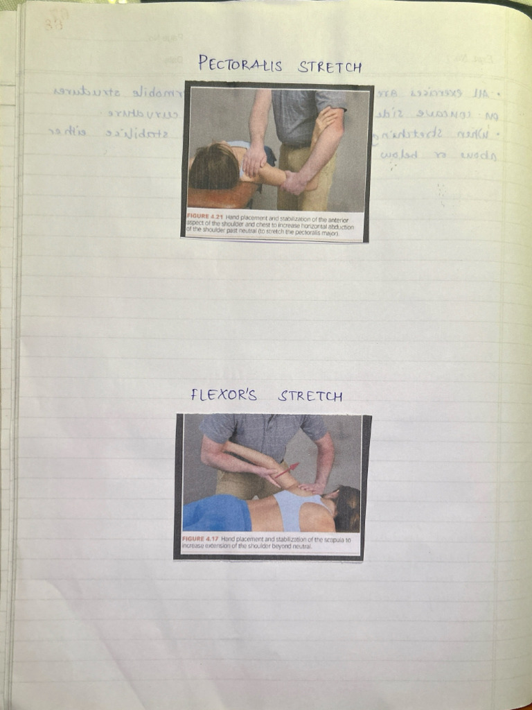 Upper Limb Stretching | PDF