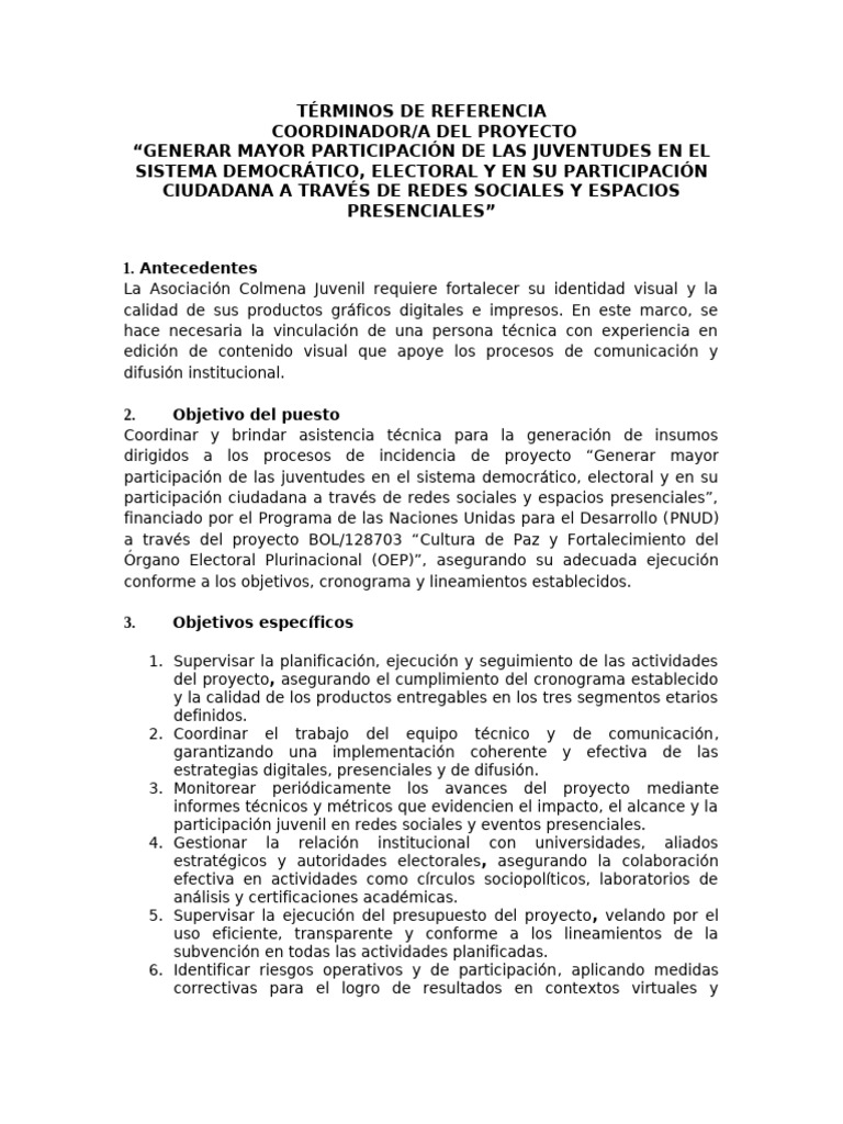 Términos de Referencia - Coordinador | PDF | Planificación | Programa ...