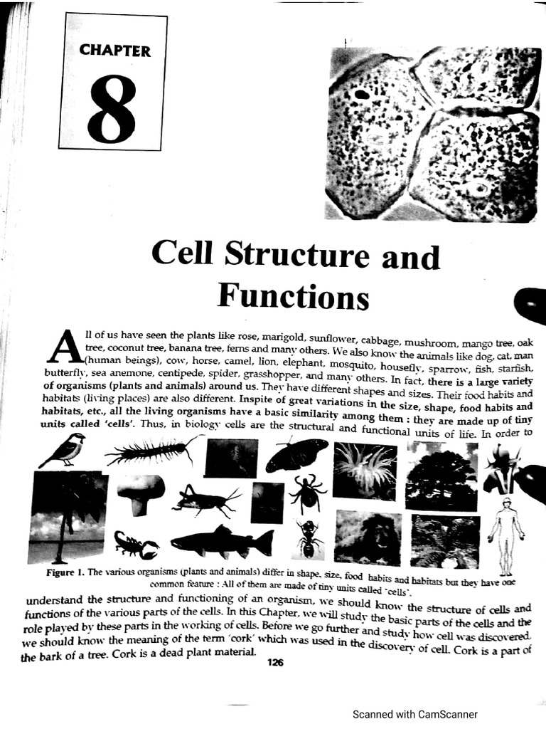 Lakhmir Singh (Cell) | PDF