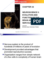 Evolution and Function of Brain and Cns and Pns
