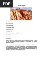 Erosão Hídrica e Formação de Ravinas | PDF | Erosão | Geomorfologia