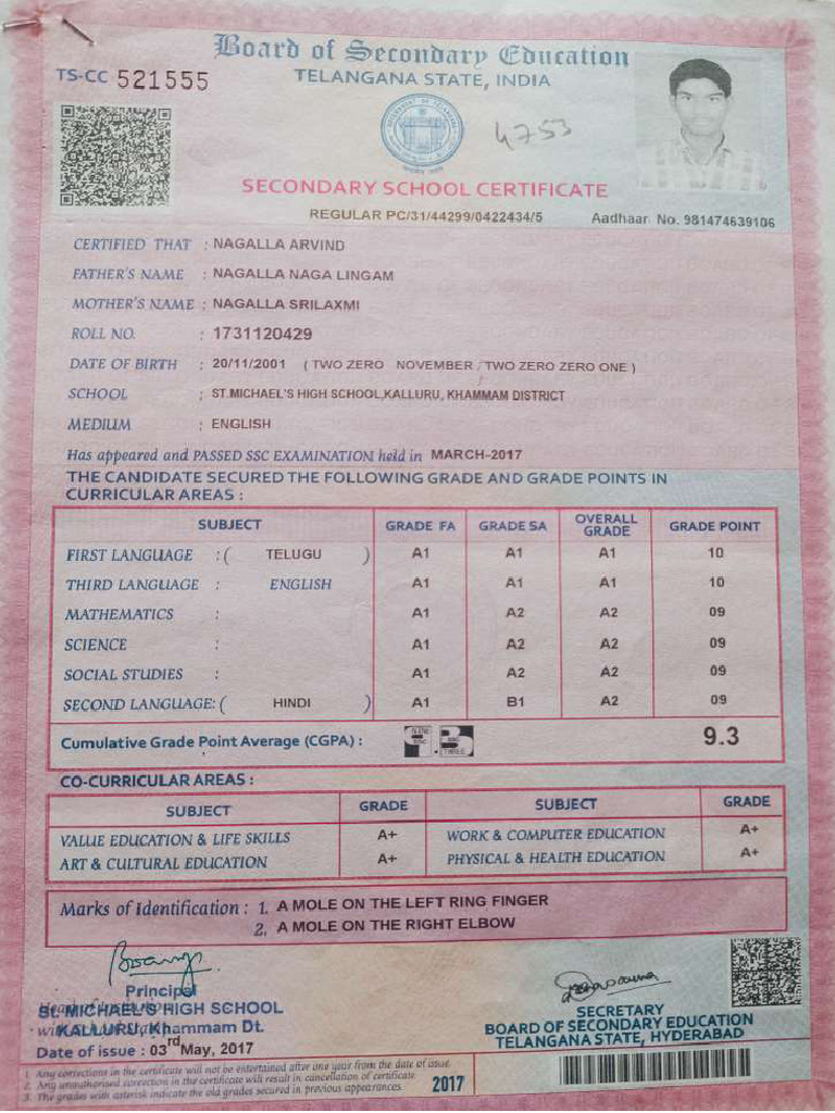 Class X Marksheet | PDF