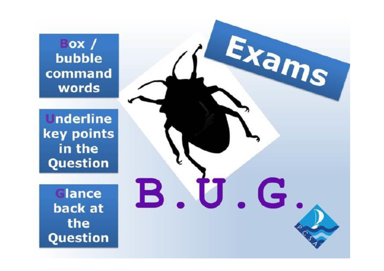 BUG Poster | PDF