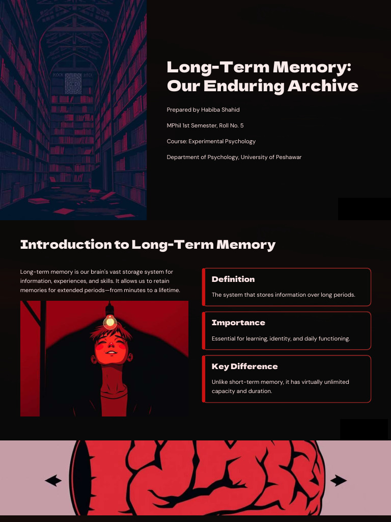 Long Term Memory | PDF | Memory | Recall (Memory)