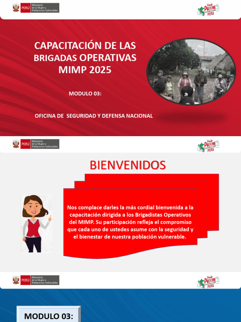 Learning Modulo 03 Mimp | PDF | Riesgo | Información