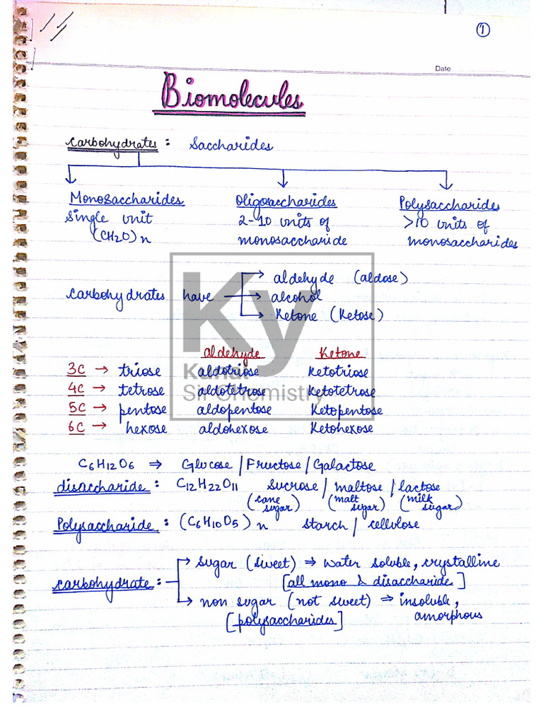 biomolecules 1 | PDF