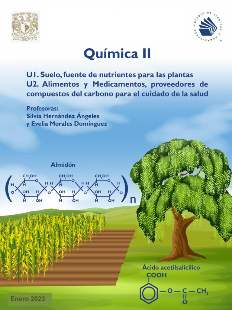 AZC QUIMICA II Suelo Alimentos Medicamentos | PDF | Suelo | Compuestos ...