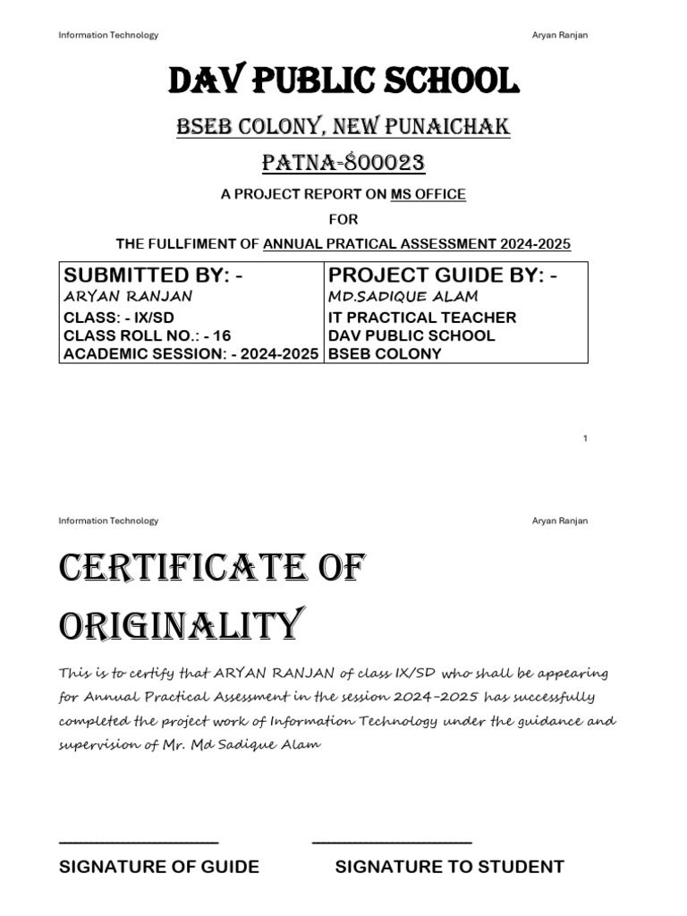 It Project (Aryan Ranjan) | PDF | Microsoft Office | Spreadsheet