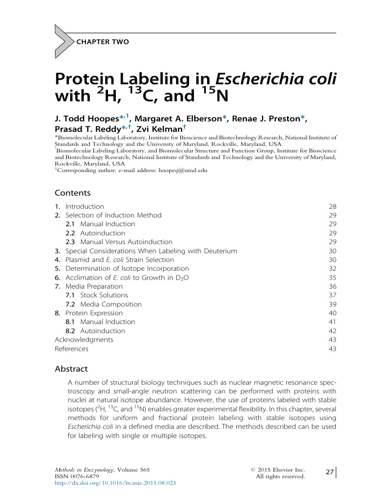 protein labelling | PDF | Amino Acid | Proteins