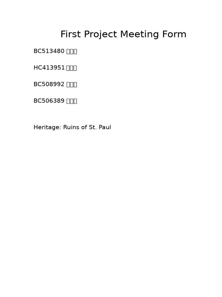 First Group Project Meeting | PDF
