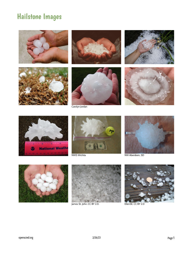 6.3 Lesson 2 Reference_ Hailstone Images | PDF