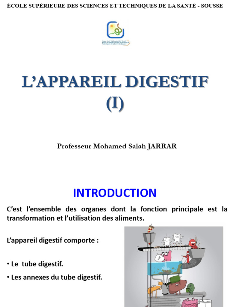 1 Tube Digestif | PDF | Gros intestin | Appareil digestif