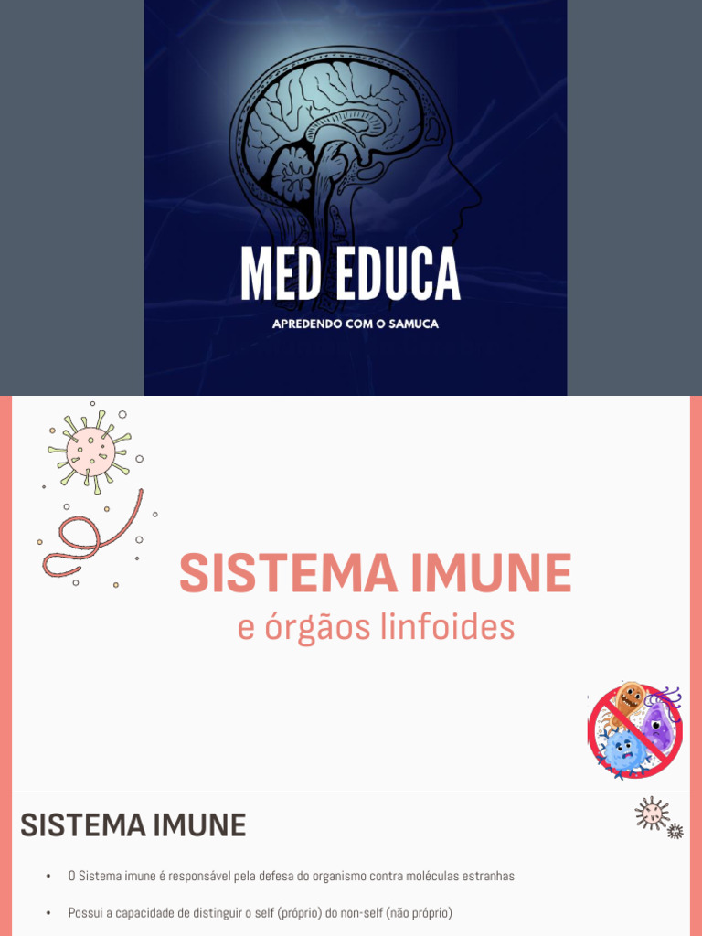 Sistema Imune of - 240602 - 152620 | PDF | Sistema linfático | Sistema ...