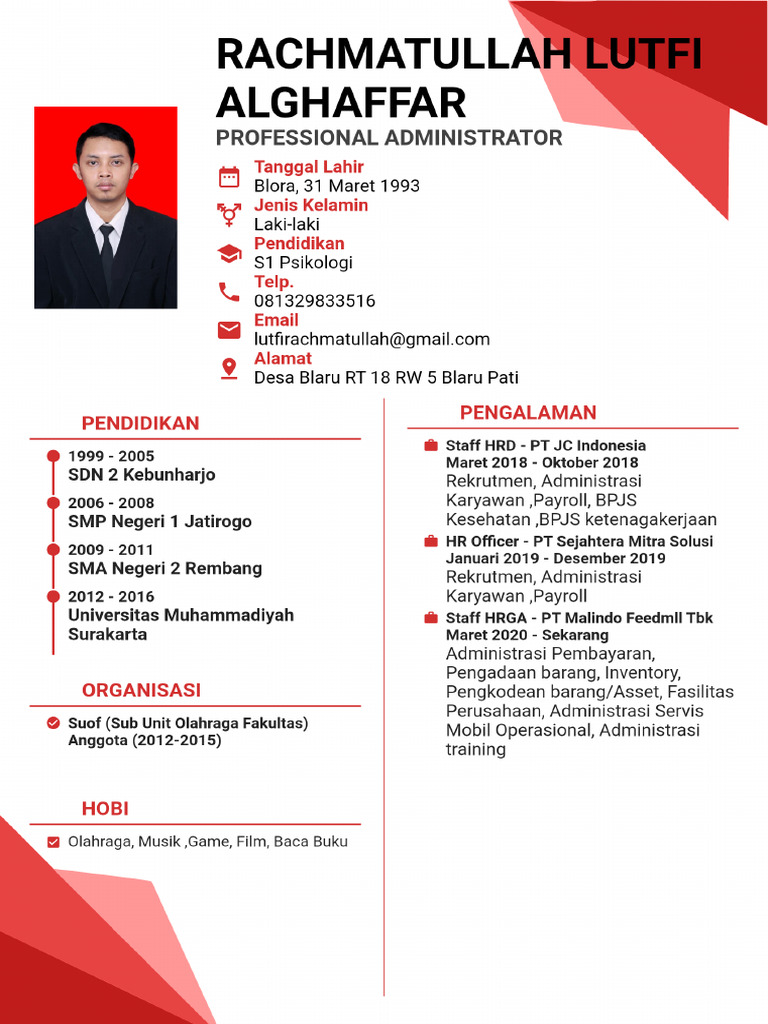 CV R Lutfi | PDF
