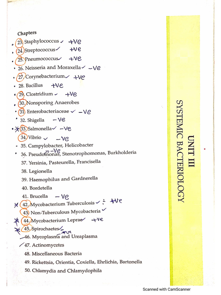 Bacteriology | PDF