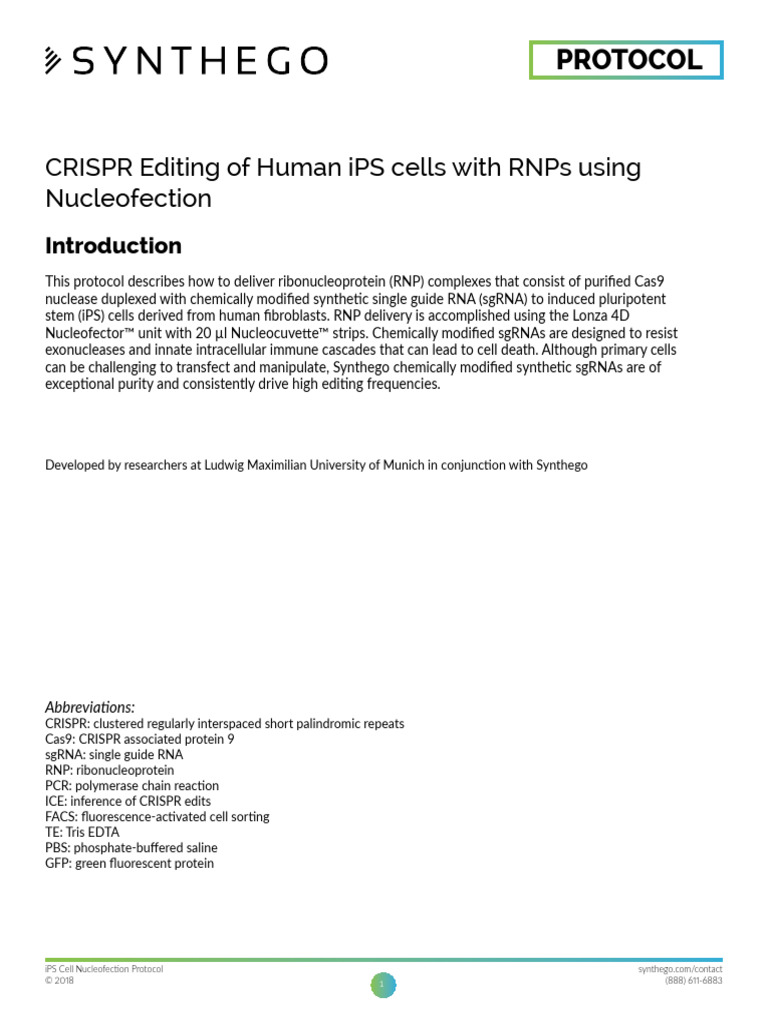 CRISPR Editing of Human IPS Cells With RNPs Using Nucleofection | PDF ...