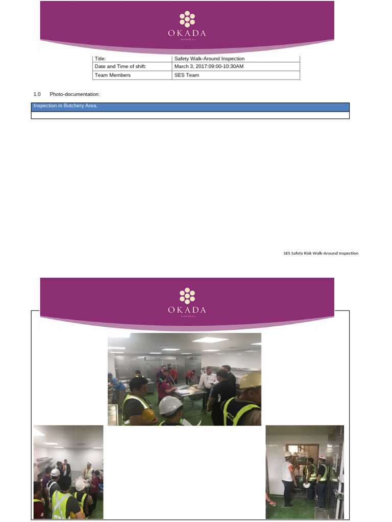 Safety Risk Walk-Around Inspection-3MAR2017 | PDF